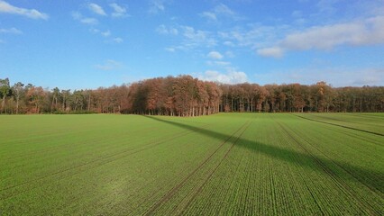 Windrad Landschaft