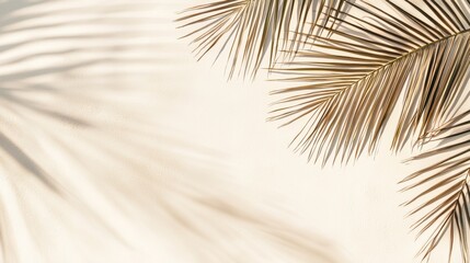 Obraz premium Tropical palm leaves are casting beautiful shadows on a neutral beige background, creating a perfect summer vibe for vacation and relaxation