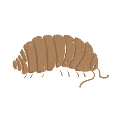 Drawing of isopoda (pillbug, woodlice). Can be used for scientific illustration, educational materials and texts about soil invertebrates.