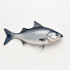 Obraz premium Freshly Caught Salmon Fish Displayed on Light Background Perfect for Culinary and Seafood-Themed Projects, Menus, and Healthy Eating Concepts