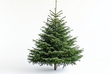 Fototapeta premium Christmas tree with decoration on white background