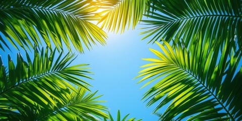 Fototapeta premium Brightly lit tropical palm trees against a clear blue sky detailed leaves daytime natural light minimalistic and vibrant tropical design