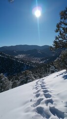 Serene snow covered mountain trail embraced by pine trees under a stunning clear blue sky