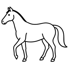 Obraz premium beginner s guide to horse icon vactor white-backgrount.