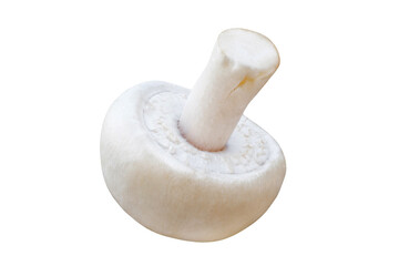 Mushroom champignon whole one, isolated on white background with clipping path