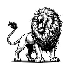 Obraz premium Lion Sketch Style