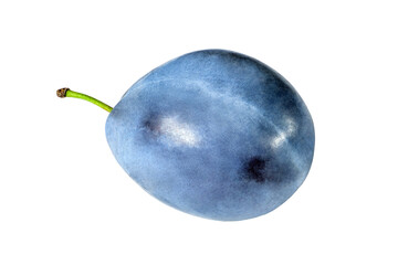 plum one whole, isolated on white background with clipping path