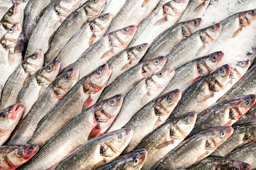 Obraz premium whole fresh chilled raw fish on ice at supermarket