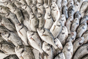 raw fresh fish on ice is sold in supermarket