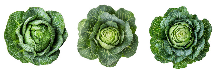 Obraz premium Set of perfectly round cabbage isolated on a transparent background