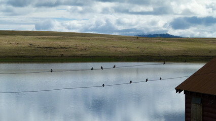 High mountain arizona lake