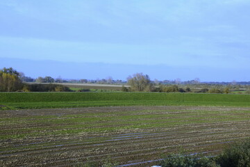 A serene rural landscape featuring plowed fields with visible furrows, patches of greenery, and a...