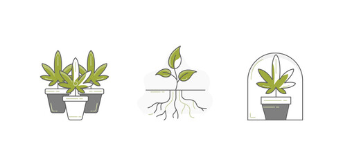 Icon 1 (Left)

"Group Planting"
"Potted Plants Collection"
"Clustered Growth"
Icon 2 (Center)

"Root System Development"
"Plant Anatomy"
"Growth from the Ground"
Icon 3 (Right)

"Protected Growth"
"Gr