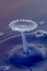 High-Speed Water Drop Collision: Artistic Liquid Splash with Reflective Details and Dark Background