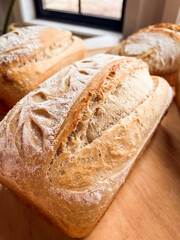 Scored sourdough sandwich loaves
