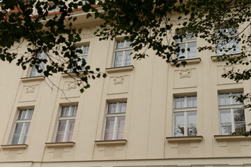 A tall building featuring numerous large windows and situated in front of it is a beautiful tree that adds to its aesthetics