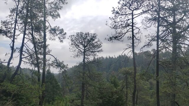 Naturaleza Parques Lagunas R&iacute;os Hiking Senderismo Naturaleza