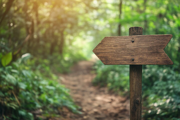 arrow sign in forest