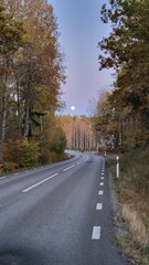 road in autumn forest evening 