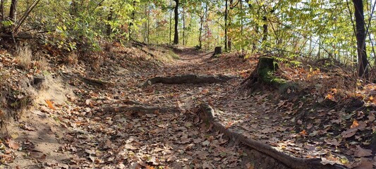 Park jesienią.