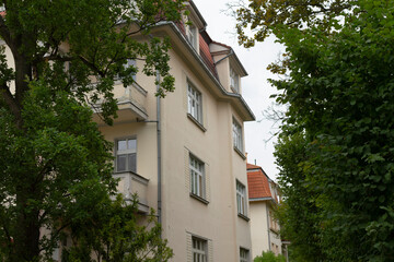 A large, impressive white building stands prominently, with several trees beautifully lining the front of it, enhancing its elegance