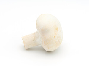 Single White Mushroom on White Background