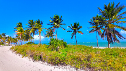 Beautiful tropical beach on Key Biscayne Miami