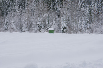 winter in the forest