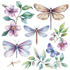 Collection set watercolor pastel dragonflies and butterflies amidst summery blooms