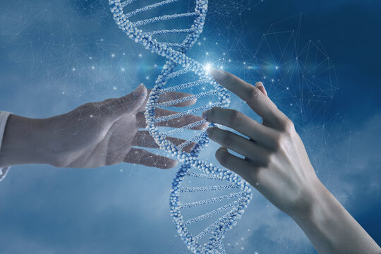 Genetics and Digital Synergy.