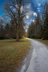 road in the park