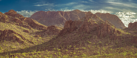 A tranquil desert mountain scene with Saguaro Cacti bathed in sunlight with scattered clouds in a blue sky. Majestic and peaceful, this landscape captures the essence of untouched natural beauty.