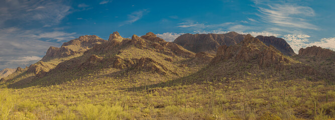 A panoramic view of a desert landscape featuring rugged mountains under a blue sky. The scenery includes Saguaro cacti and arid vegetation illuminated by warm sunlight.