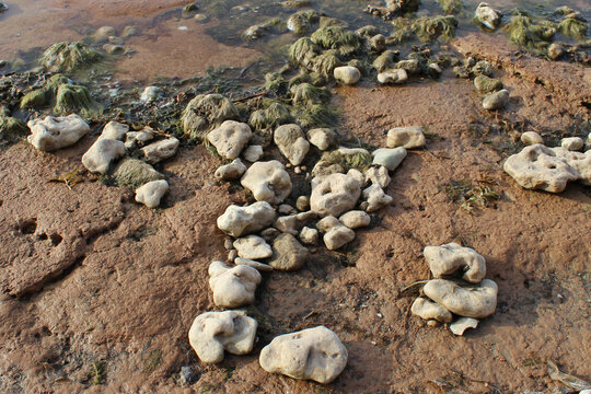 Small white cet stones on the coast