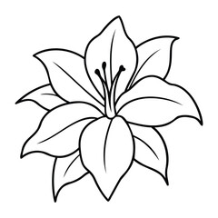 Black and white line art of a Amaryllis flower, featuring bold outlines and intricate petal details.