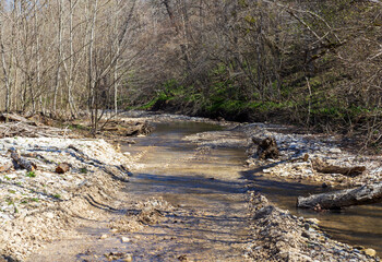 sunny day, nature park, walk along the riverbank with an overview of the bottom structure