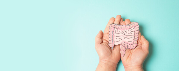 Colon, colorectal or rectal cancer, inflammatory bowel disease, weight loss, abdominal pain and fatigue, Morbus Crohn, ulcerative colitis, digestive system organ, medical health