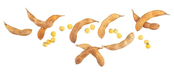 Dried soybean pods and beans isolated on a white background, top view. Healthy food.