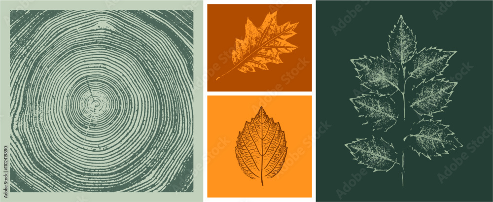 Wall mural set of colorful oak maple sycamore tree rings leaves as variations in color shape and size. fall lea