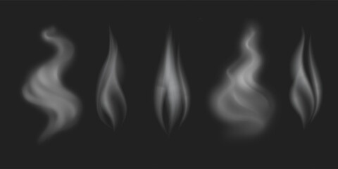 Tea smoke, coffee cup, food steam or vapor clouds, realistic white cigarette or hookah steam trail, hot dish Vector illustration