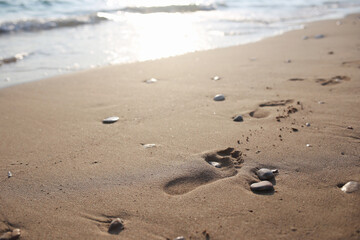footsteps on the beach