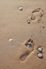 footprints on the beach