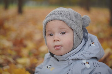 Little boy playing in autumn park. Child on yellow fallen leaves on a sunny autumn day.