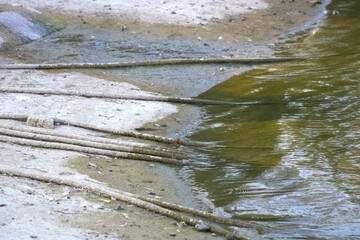 underground irrigation pipes leading into water