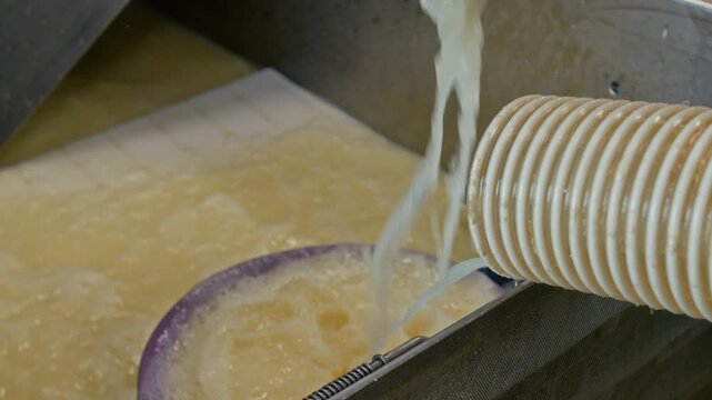 Closeup of hand of anonymous cheese factory technician holding metal mesh sieve under pipe to gather milk curds while draining whey after cooking