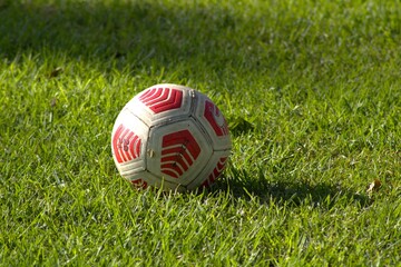 soccer ball sitting on the grass