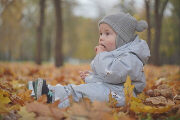 Little boy playing in autumn park. Child on yellow fallen leaves on a sunny autumn day.