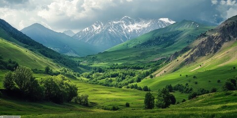 Fototapeta premium Scenic Valley Embraced by Majestic Mountains: A Lush Green Landscape with Forests, Peaks, and Rocky Outcrops
