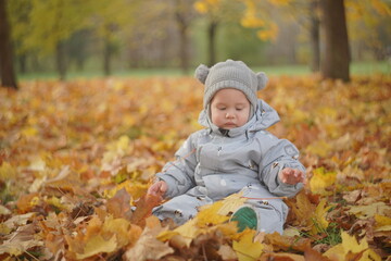 Little boy playing in autumn park. Child on yellow fallen leaves on a sunny autumn day.