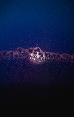 Fototapeta premium Abstract frost pattern on glass with glowing yellow light, dark blue icy texture creating vibrant winter atmosphere. 